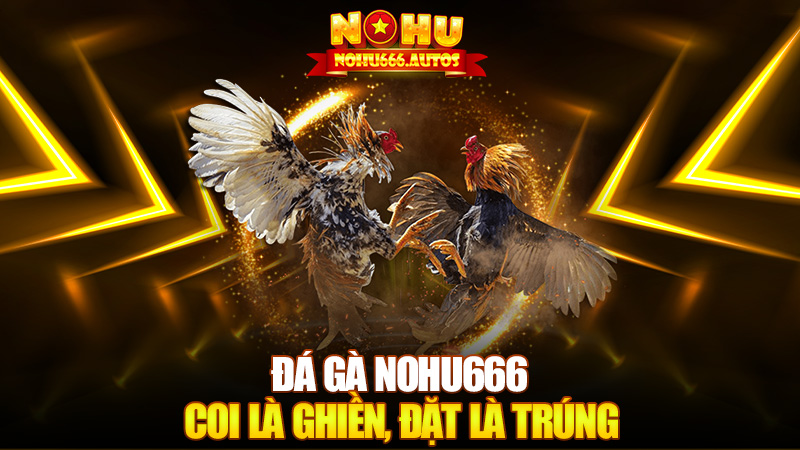 Đá gà Nohu666 – Coi là ghiền, đặt là trúng, hô dô dô!